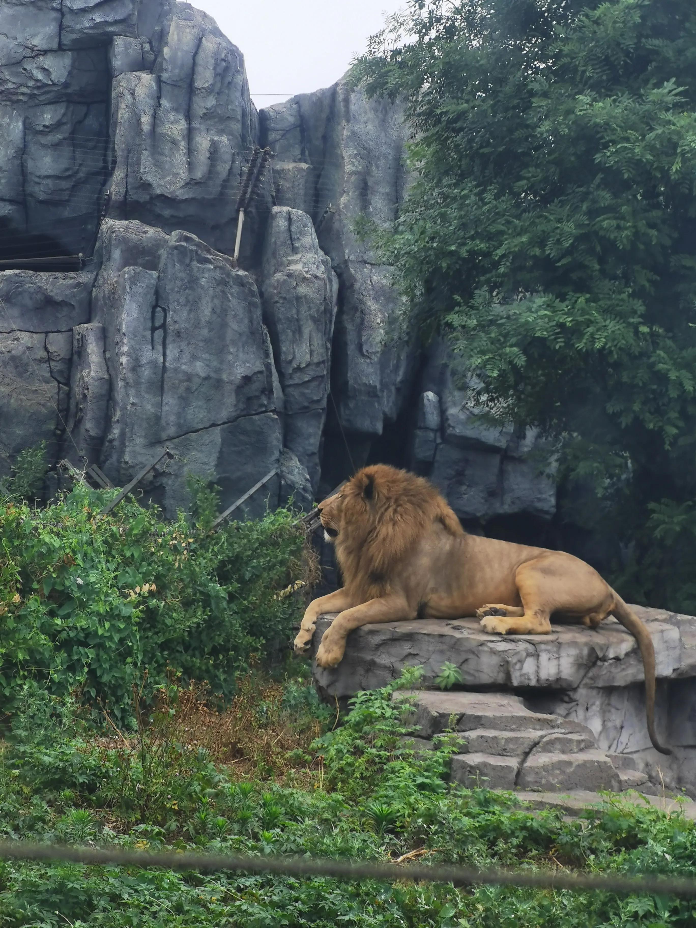 唐山，历史回声与时代脉搏交织的史诗之城